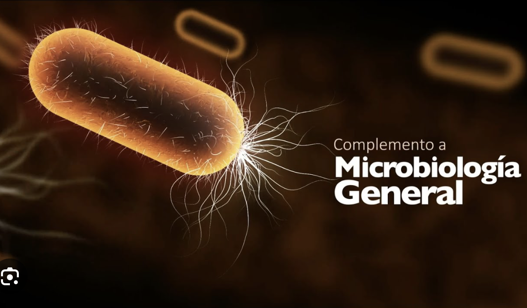 Imagen de una bacteria de Escherichia coli